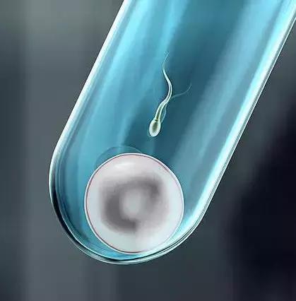 生不出男孩，就要把女孩扼杀在肚子里？