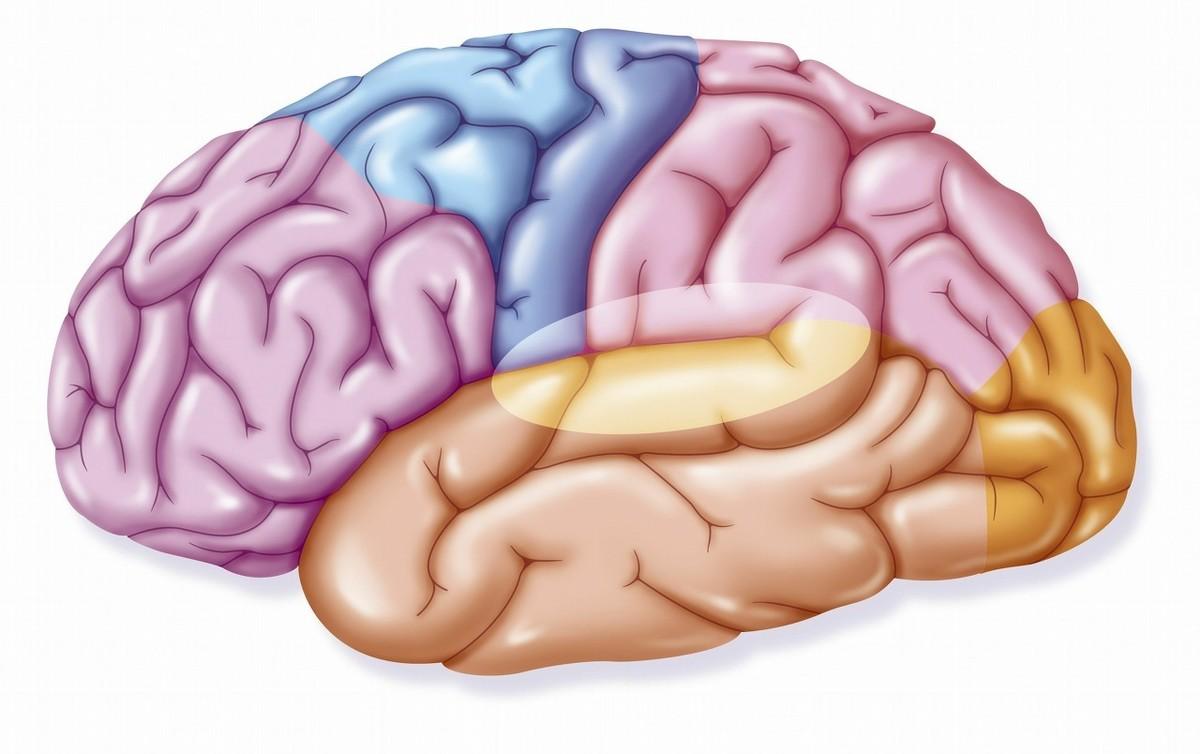 脑梗塞出现后遗症还能恢复吗,脑梗塞的后遗症感觉障碍能消失吗