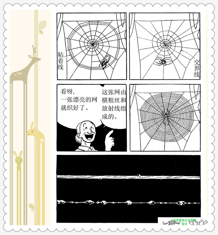 昆虫记法布尔动画片,昆虫记法布尔全套