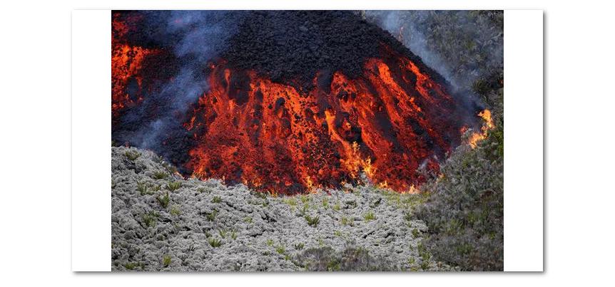 火山岛留尼汪,留尼汪岛的真实生活