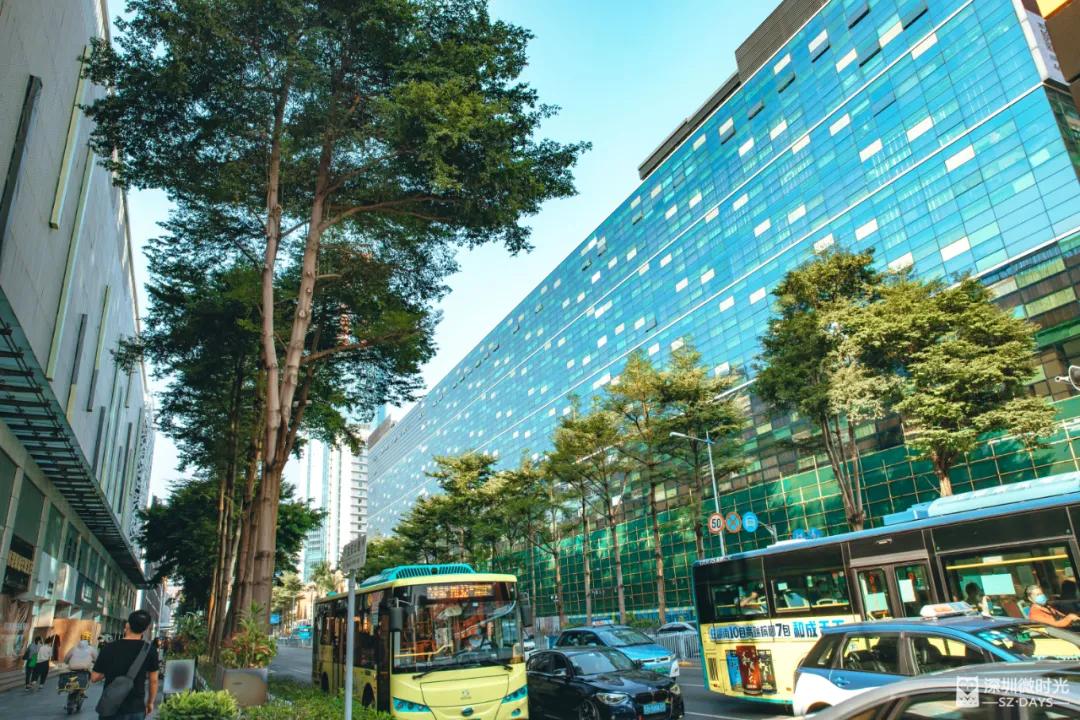 迈向有钱时代的笋岗：有人怀揣*迁拆**梦，有人害怕做网红…