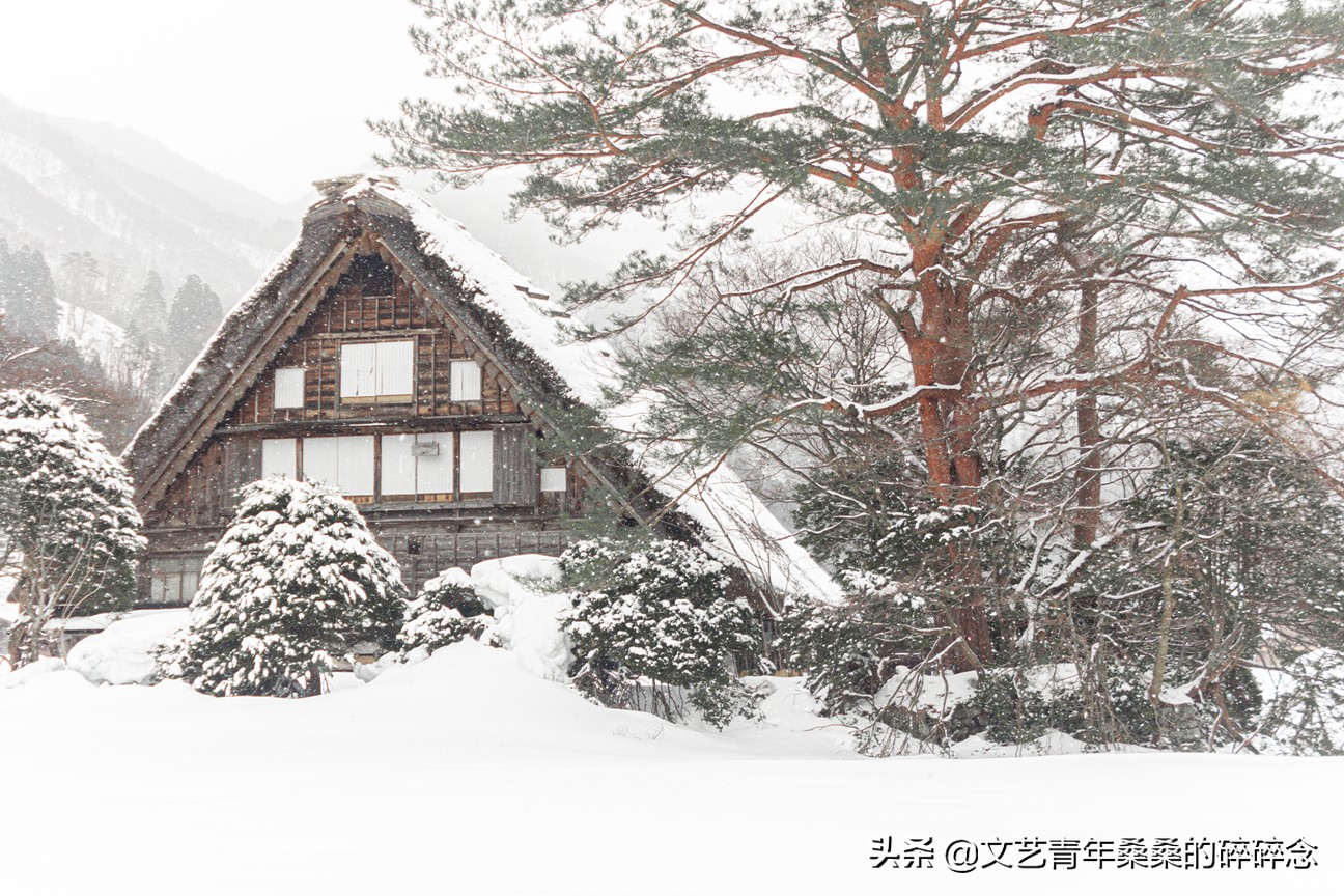 冬季日本的自驾游攻略,冬日游日本名古屋攻略