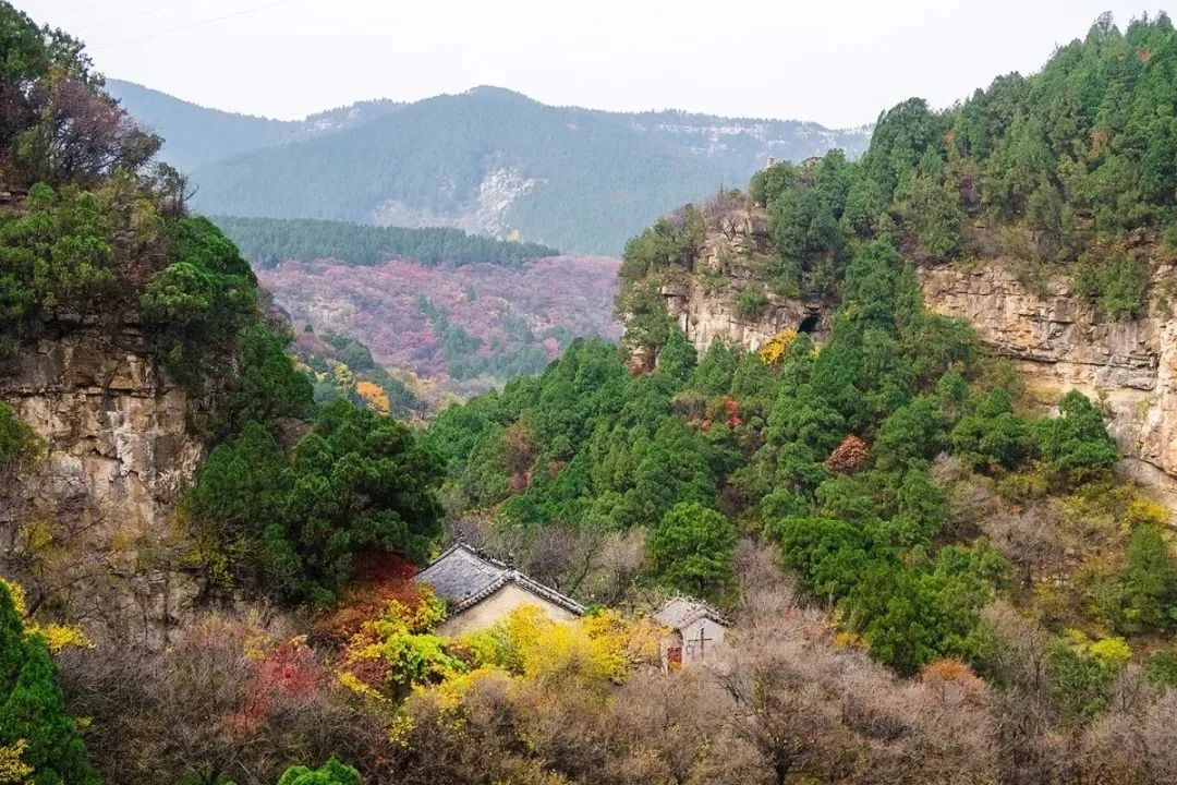 赏秋不远行就近赏秋景,赏秋何必去远方