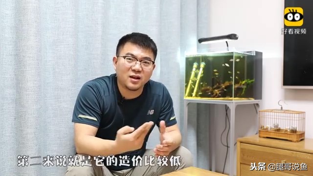 大缸什么过滤效果最好,什么过滤方式小缸效果最佳