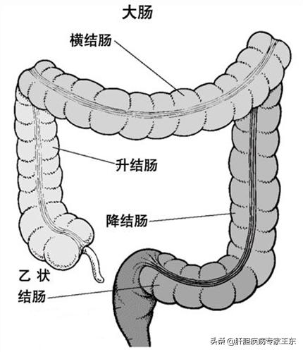 结肠镜检查，痛苦并快乐着