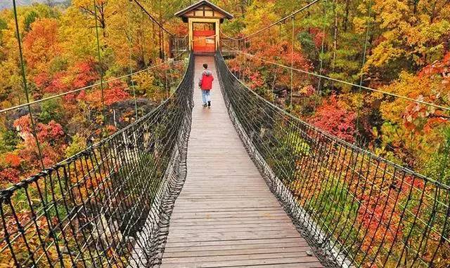 湖北深秋自驾游景点推荐,秋色彩林川西自驾