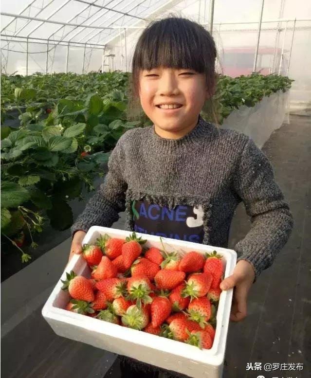 罗庄生活怎么样,罗庄哪几个村最好