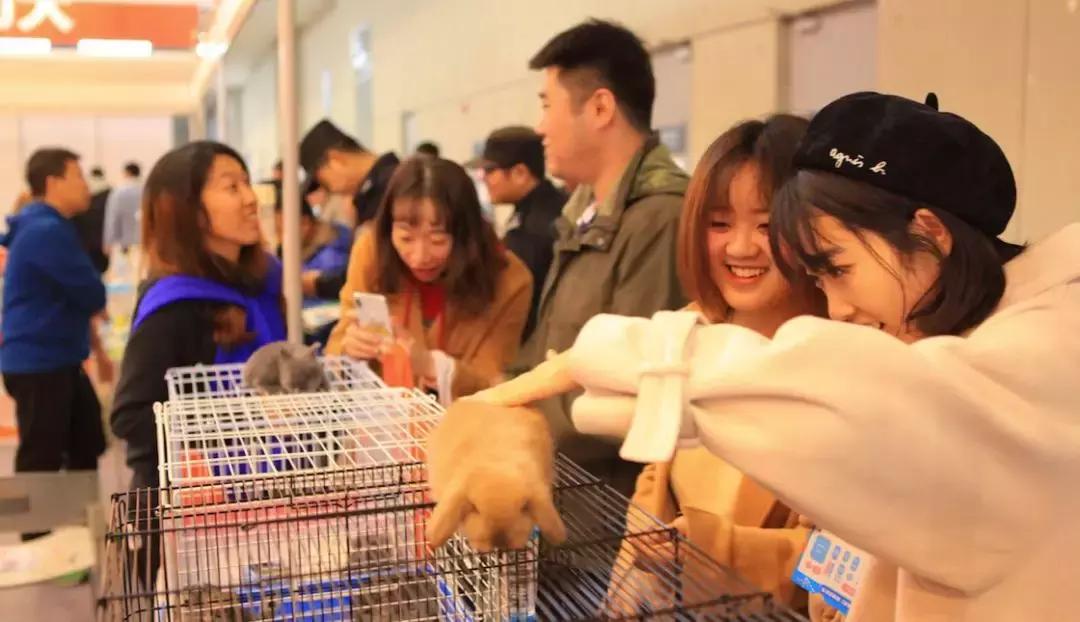 萌宠齐聚南京宠物博览会,day1