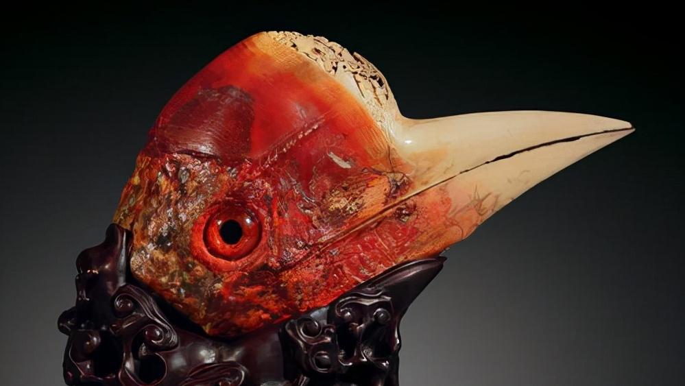 头骨最值钱鸟,头骨很珍贵的鸟