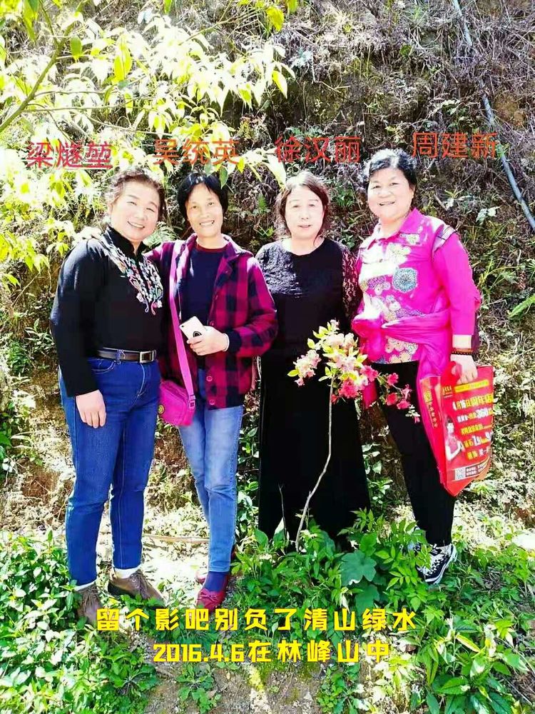 知青情结图片素材,60年代的知青情结