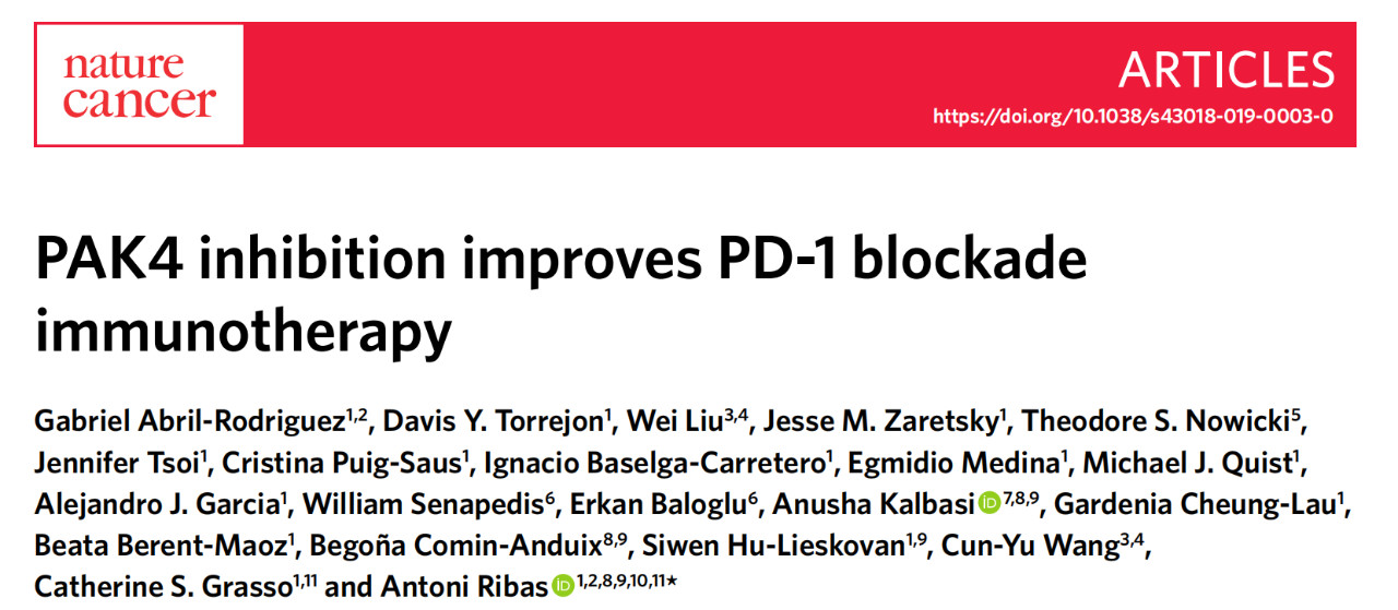 化疗联合pd-1免疫治疗,肿瘤免疫与代谢疗法