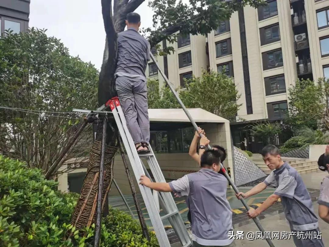 烟花过境商丘,烟花过境安庆