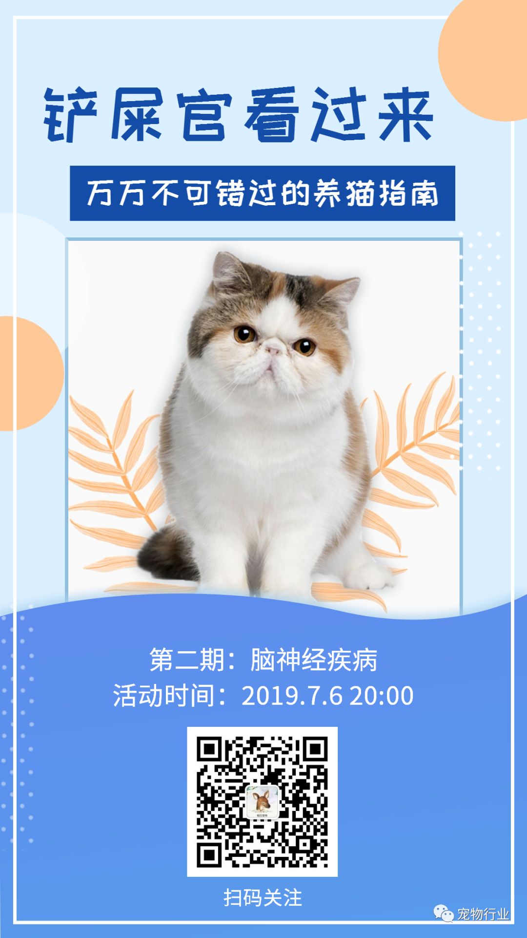 猫头部神经疾病,猫脑神经受损的原因