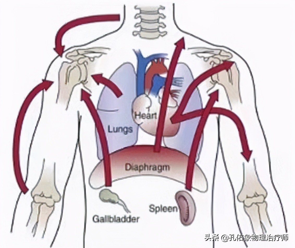 肩周炎肩膀疼痛用什么药,肩膀疼是肩周炎吗还是其他原因