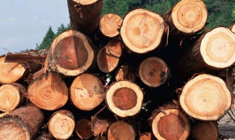 干货｜“穿”对香水，你就是行走的“*药春**”