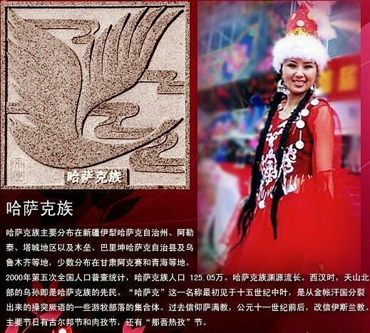 中国五十六个民族的服饰,56民族图腾图