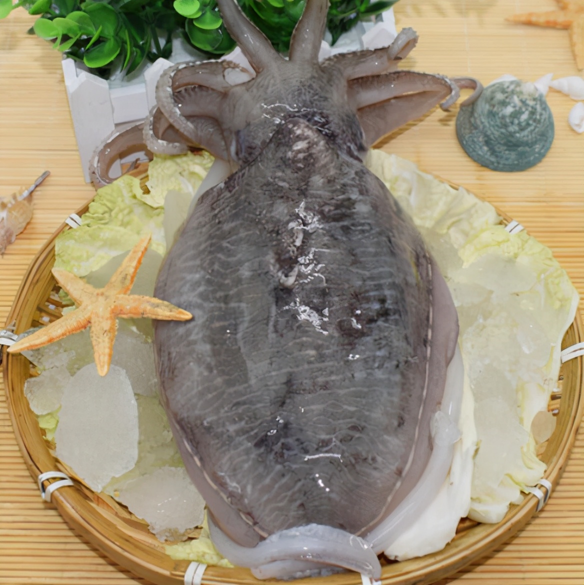 墨鱼好吃有诀窍教你特色做法,墨鱼怎么做好吃又脆爽