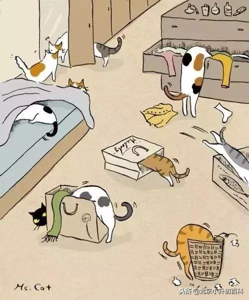 汉语拼音26个字母自然拼读口诀,一年级汉语拼音难点重点考点