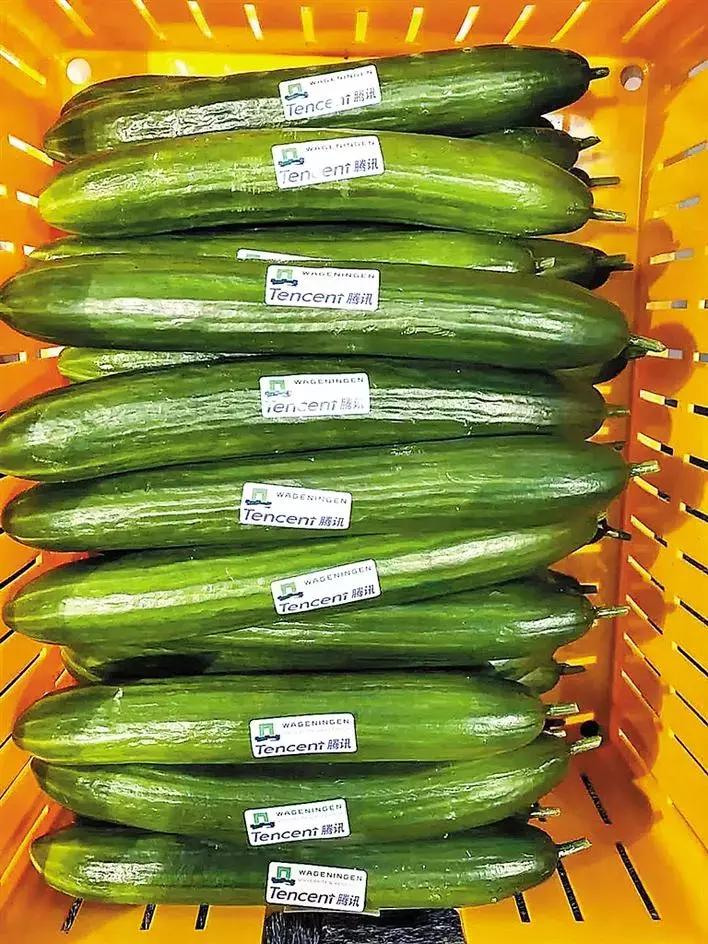 马化腾进军电商市场,腾讯马化腾下一步战略