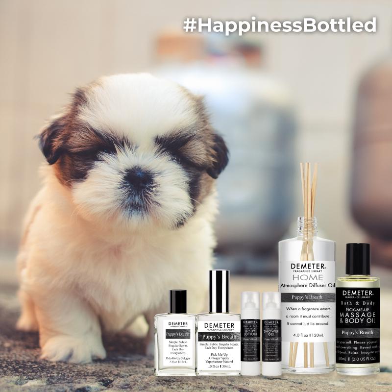 气味图书馆真的好用吗,气味图书馆品牌如何