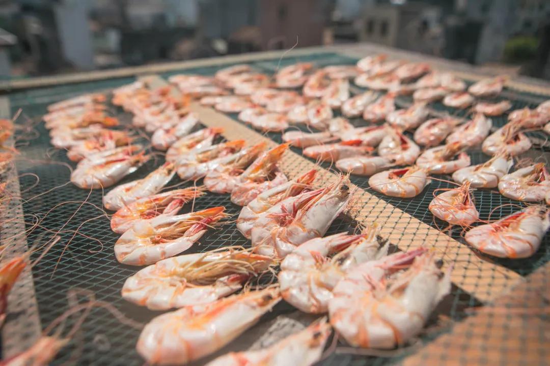 温补肾阳补肾固精吃什么,温肾固精的食品