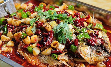 烤鱼吃清江鱼还是草鱼,江团鱼最主要吃什么食物