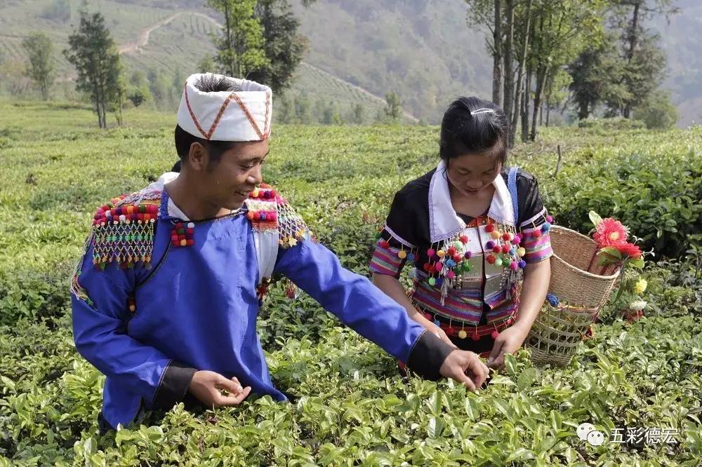 中国56个民族知识大全书籍,关于中国56个民族的知识