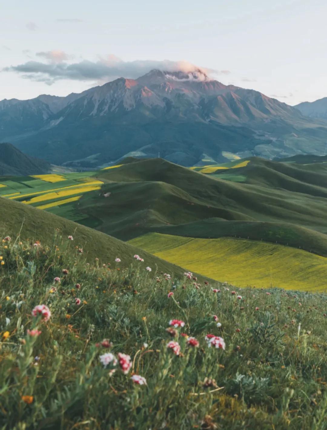 重庆暑假避暑好去处,暑假来了去哪里玩