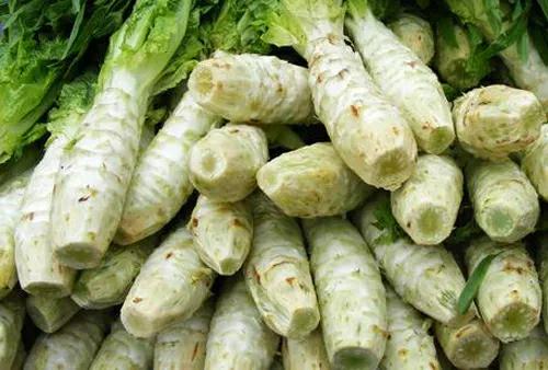 莴笋是焯水好还是直接炒,莴笋最忌焯水和直接炒