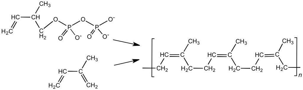 铁球和橡胶球的区别,铁球橡胶球
