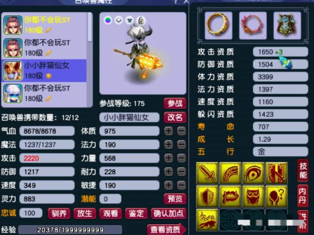 梦幻雪山大火区,梦幻西游雪山打紫禁城