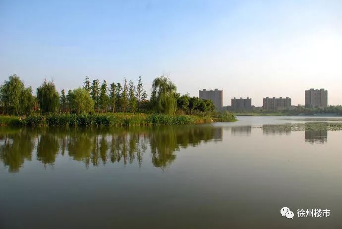 徐州黑马,徐州黑马板块最新消息