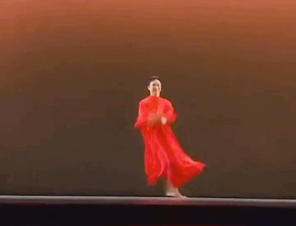 金星真的跳舞好看吗,金星在舞蹈中的成就有多大