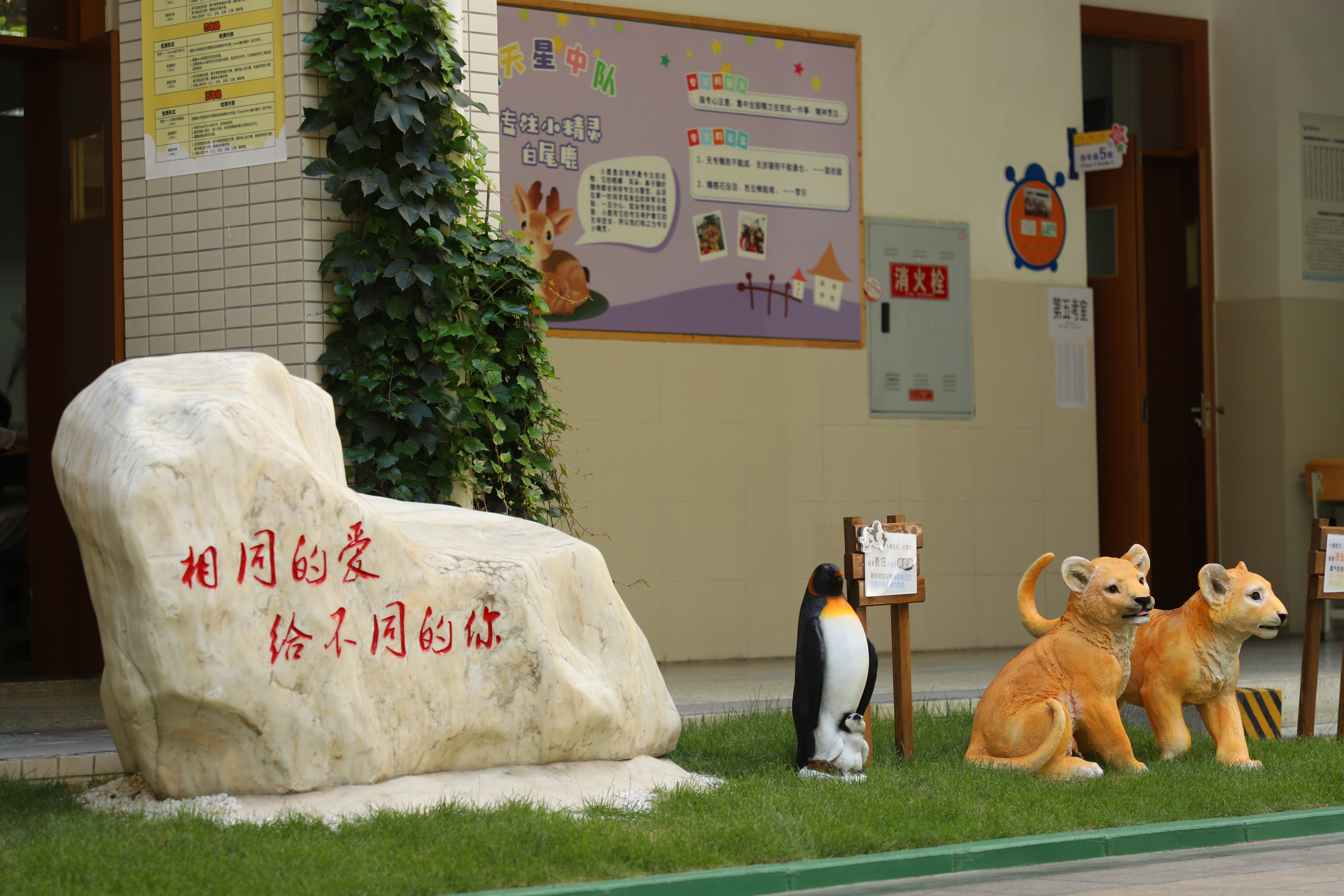 成都市金牛实验行知小学,成都高新区行知小学