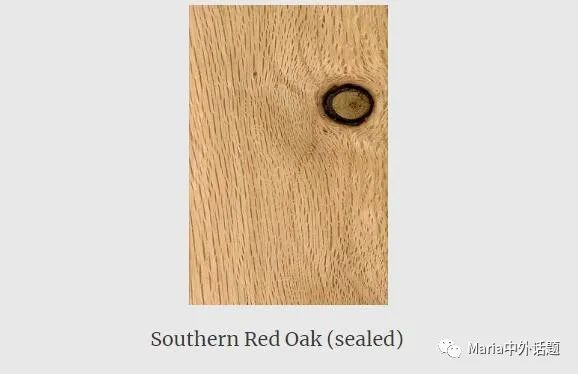 缇庡浗姗℃湪浜у尯,缇庡浗鍖楅儴姗℃湪