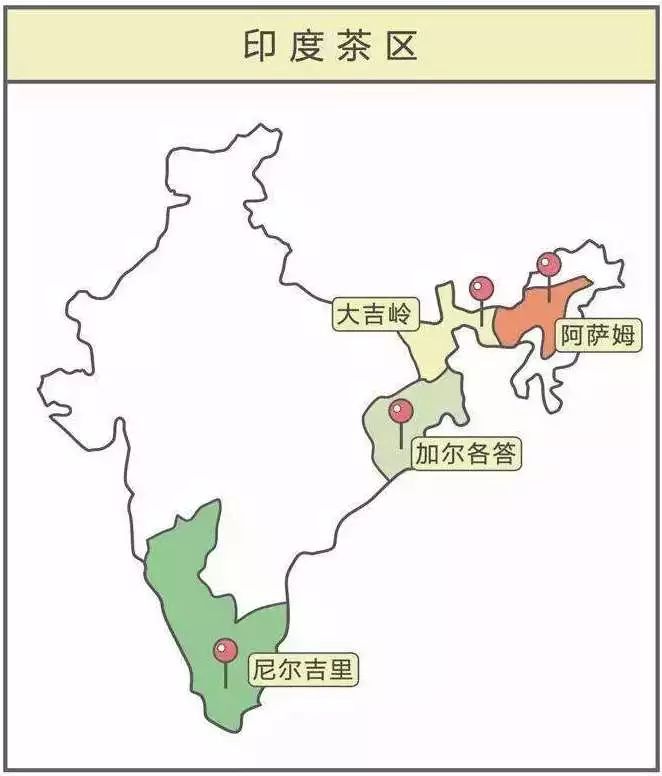 如火如荼|红茶界的F4，来啦