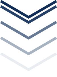 教资小教综合素质必考内容,小学教资综合素质必背考点讲解