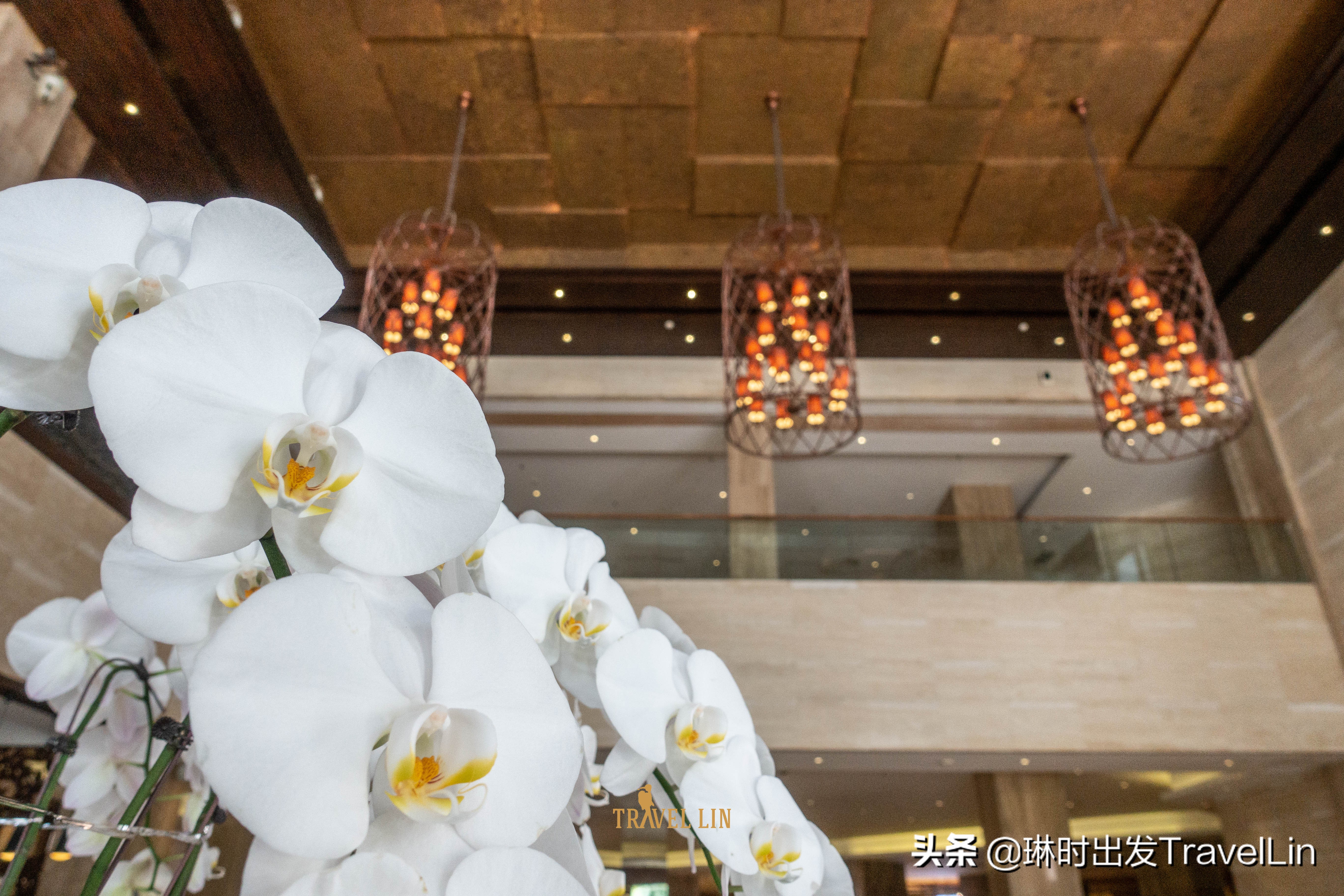 住椰梦长廊附近好不好,住在椰梦长廊边