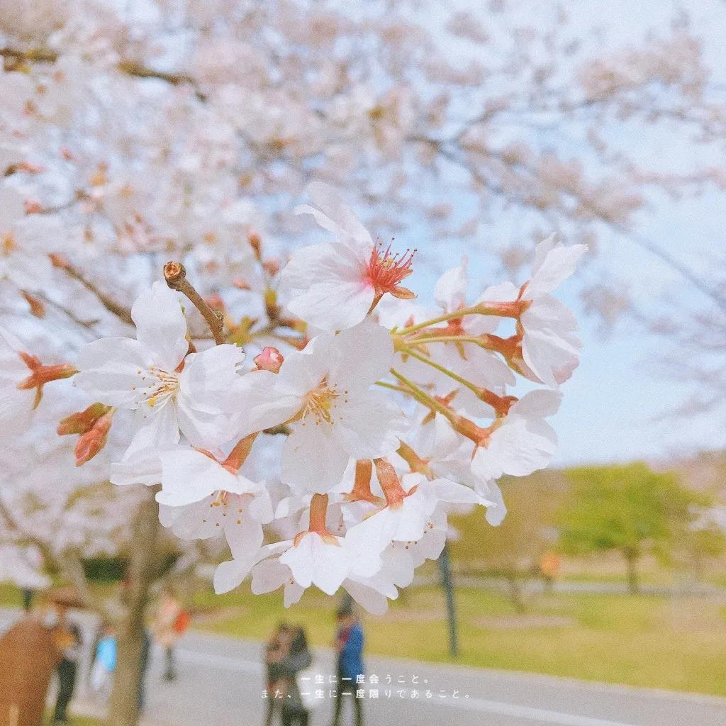辟谣、吃酱油加深痘印?芦荟胶治好痘坑?别傻了!