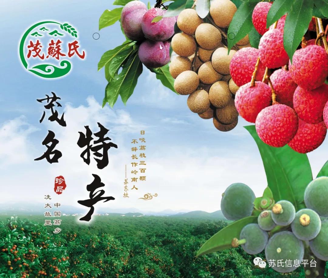 「苏商名片」茂名苏氏土特产有限公司「新品上市…快」