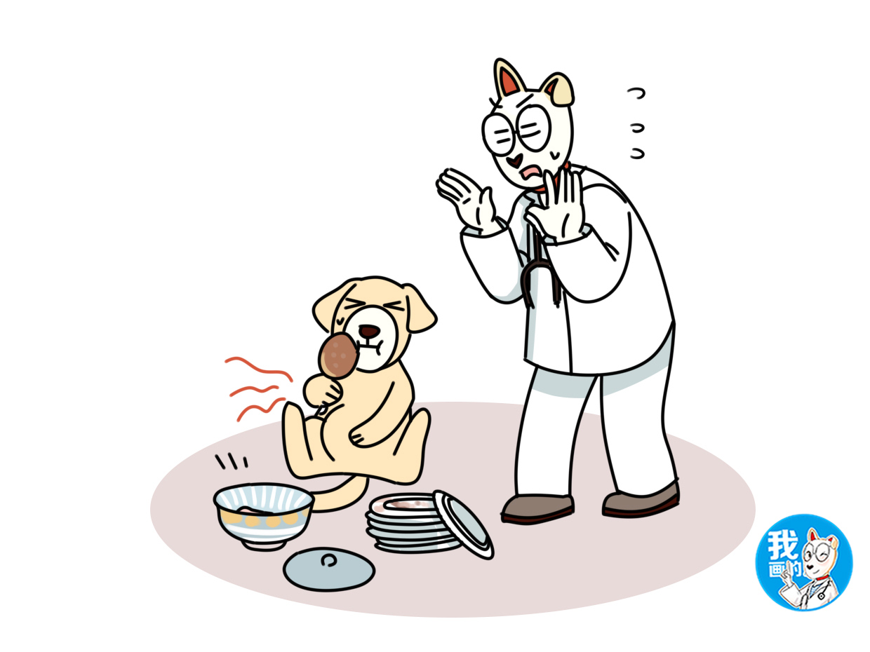 狗狗易患的疾病铲屎官养犬须知,狗狗得了细小喂了驱虫药