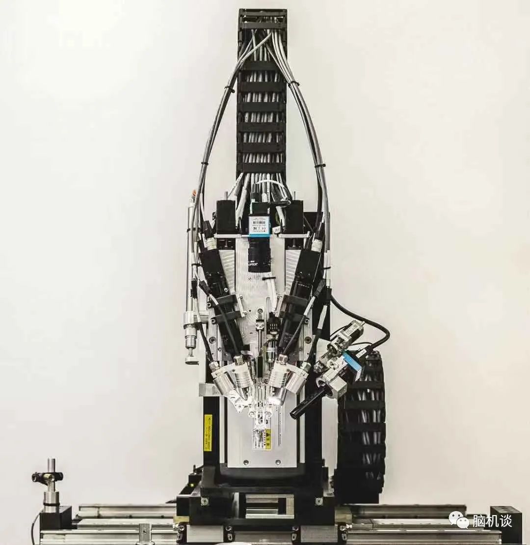 ​《脑机往事（3）—维达尔的秘密》