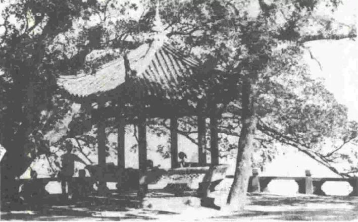 江心屿里面有哪些历史悠久的东西,江心屿景区是哪一代人的回忆