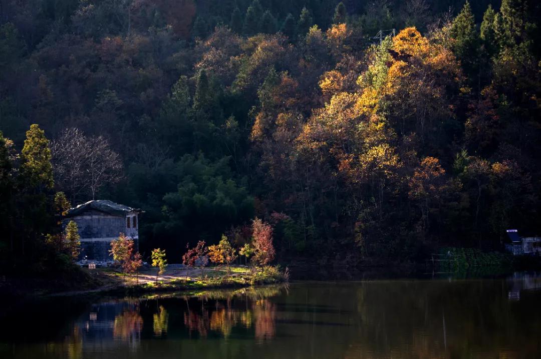 藏着最美秋景，石柱原始森林中的这块“明镜”美绝了！