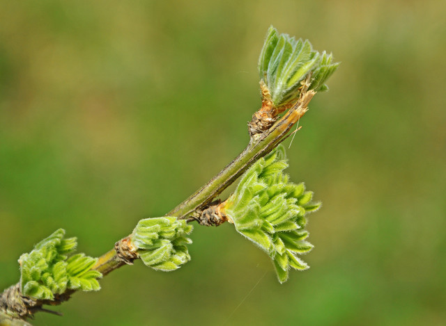 同学群让人反感,同学群有的不受待见