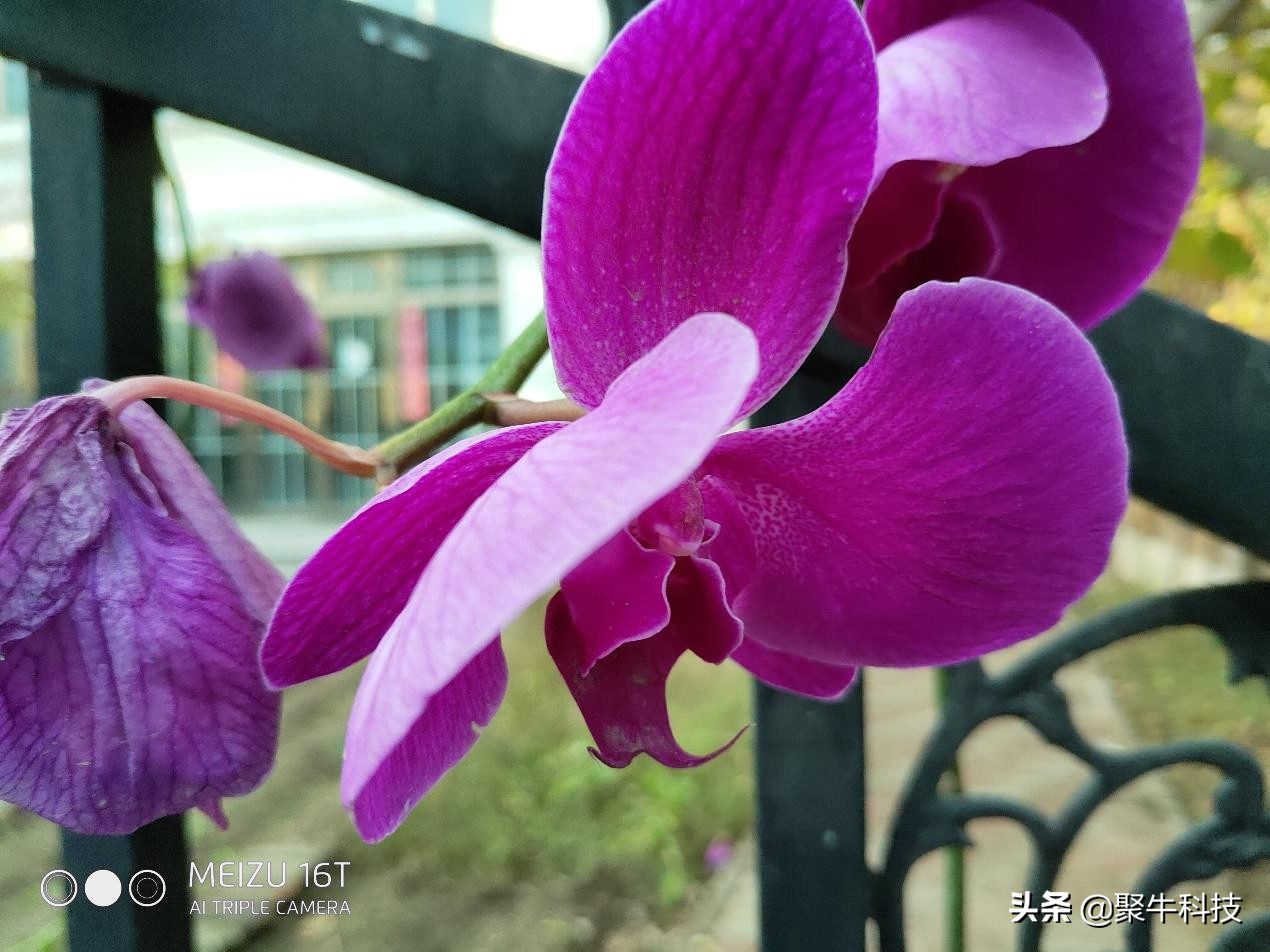 用大屏玩游戏,用中控屏玩游戏