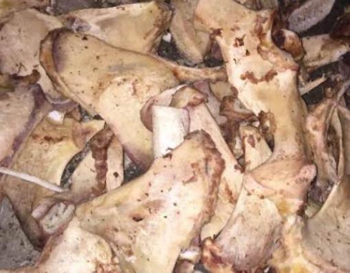 猪骨煮水能浇花吗,熬汤的大骨别扔