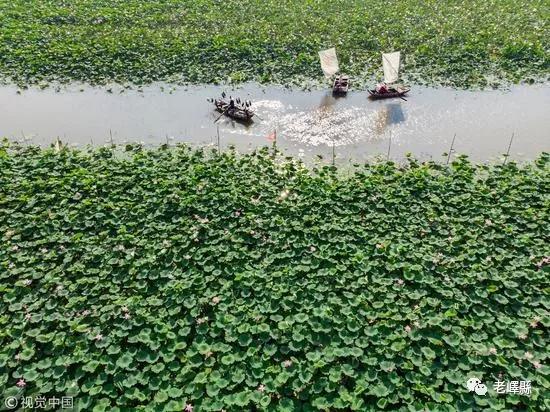 为什么徐州和山东亲近,徐州为啥和山东差不多