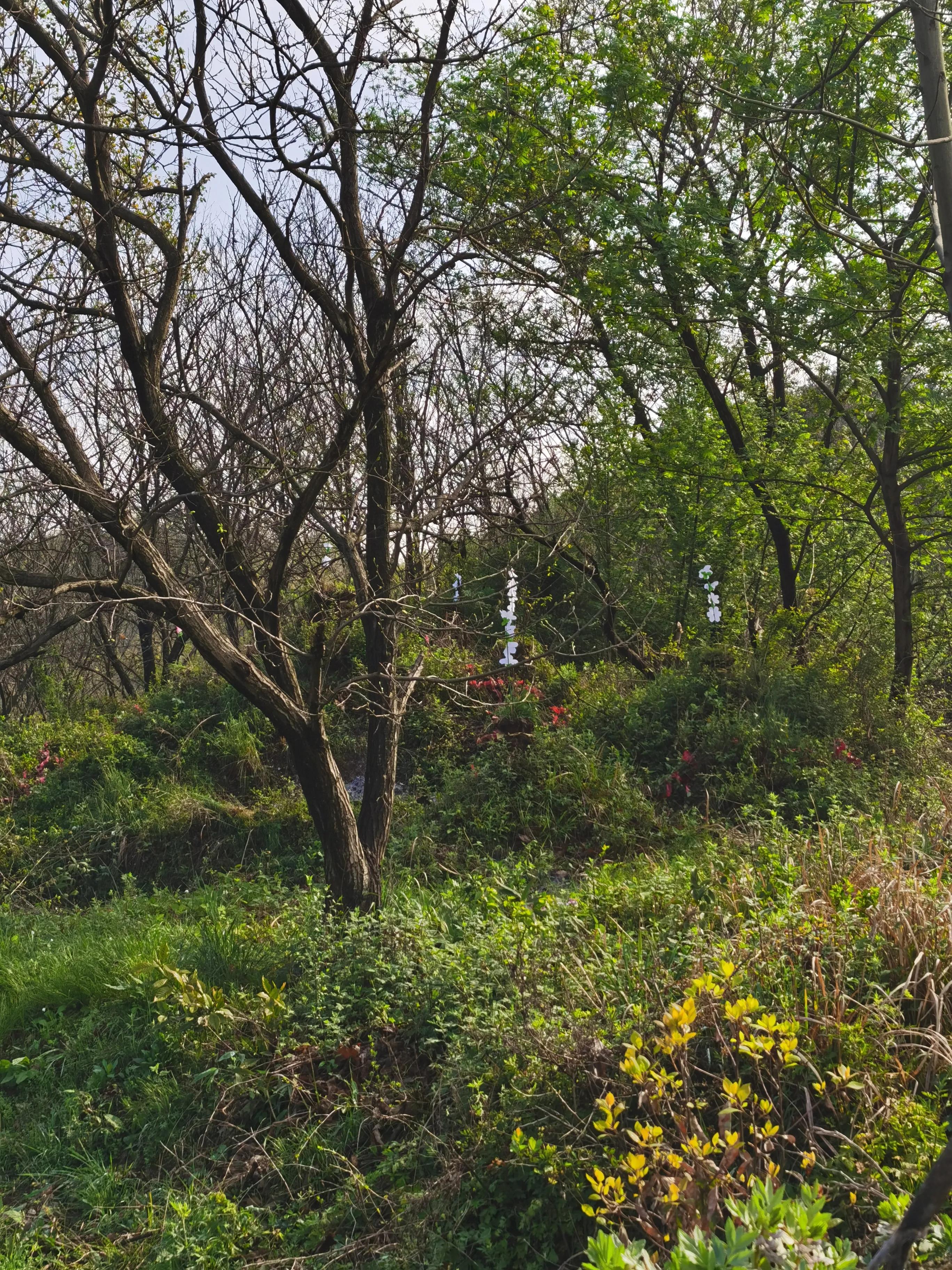 第一次租车感受,第一次租车有什么需要注意的吗