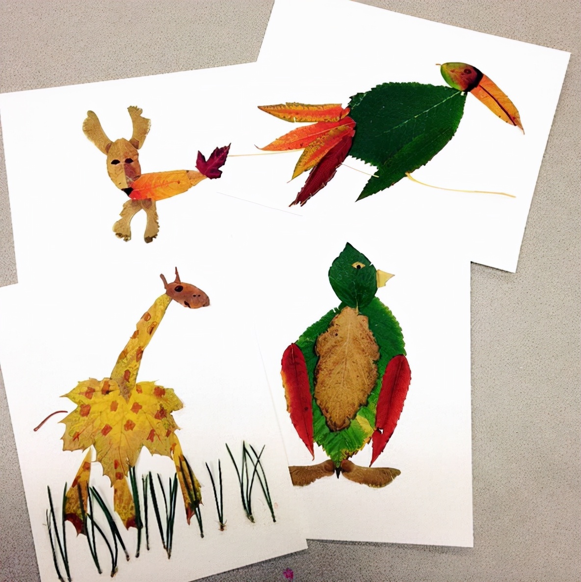 有多少种各种各样的小动物呢,用落叶做可爱的小动物